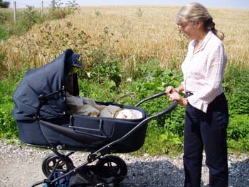 Otto og farmor og dansk sommer